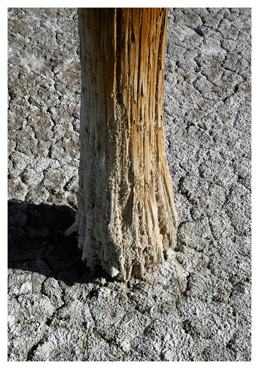 IMG_9674.jpg
