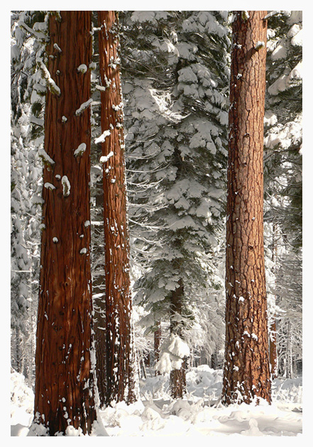 Sierra Mountains, California