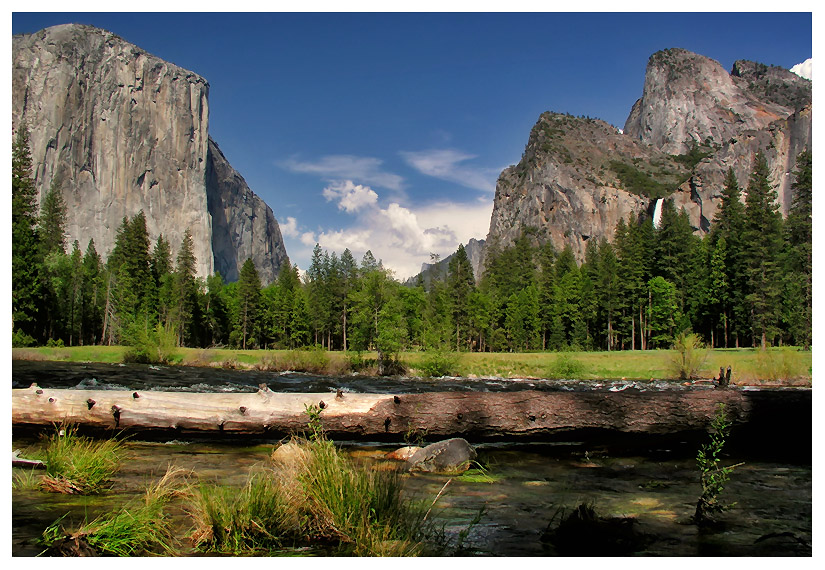 Yosemite NP