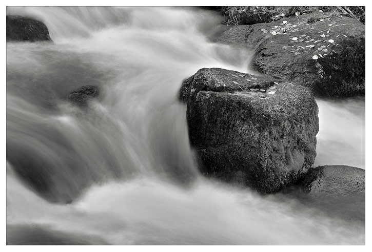 CRW_8205_W.jpg