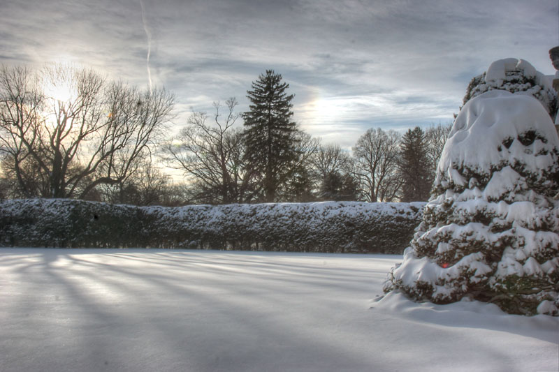 Old Westbury Garden LI