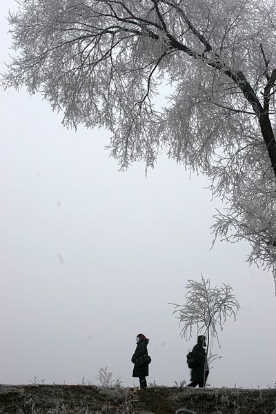 IMG_5560.jpg