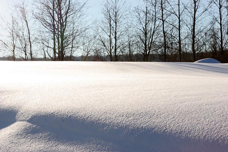 Winter wonderland