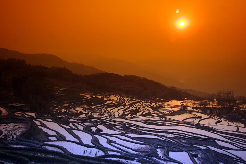 Yuanyang Terraced Fields