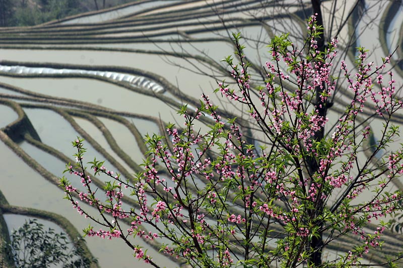 Yunnan China