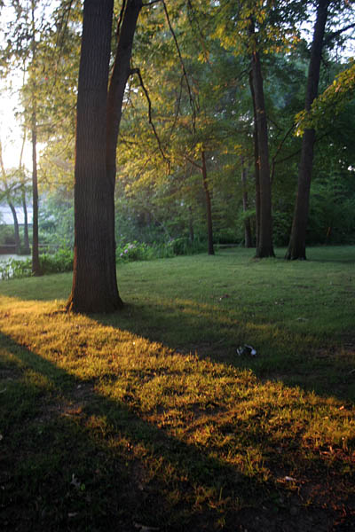 Kenilworth Aquatic Gardens
