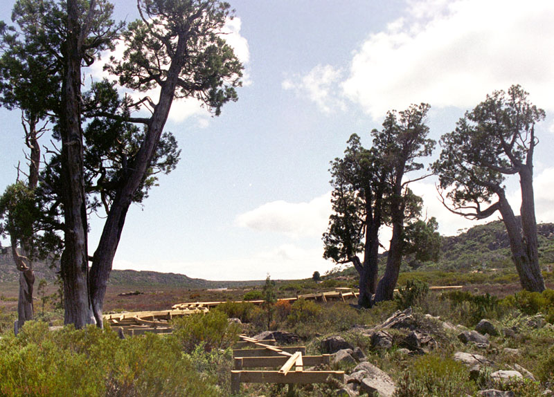 Boardwalk under construction
