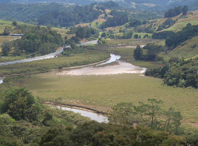 Puhoi River, looking upstream