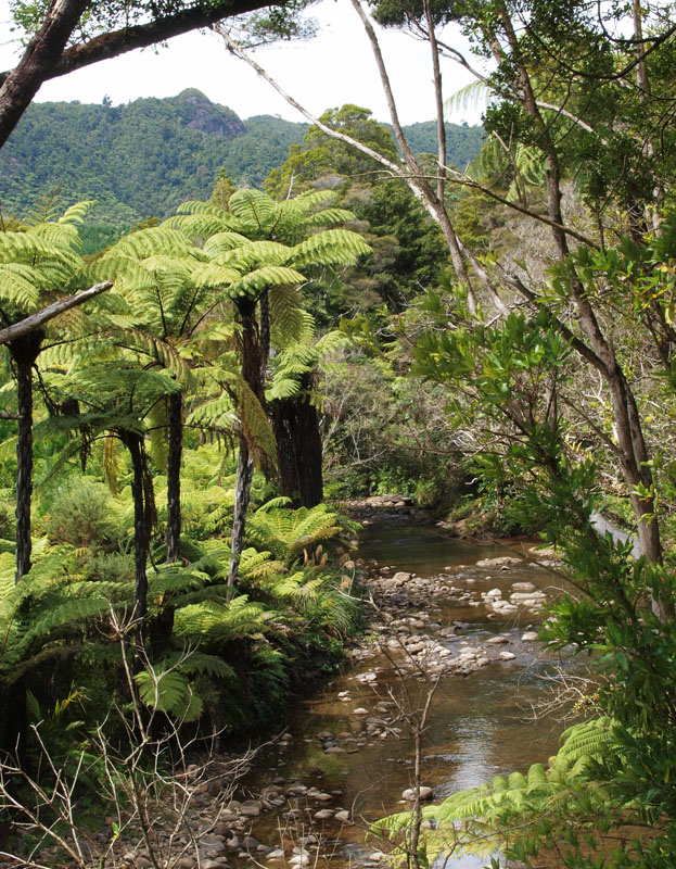 River on park boundary