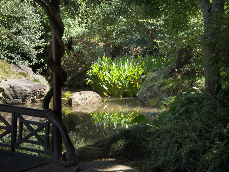 Chinese Scholars Garden