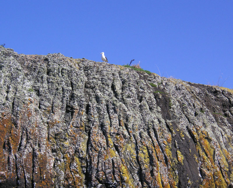 Black Rocks