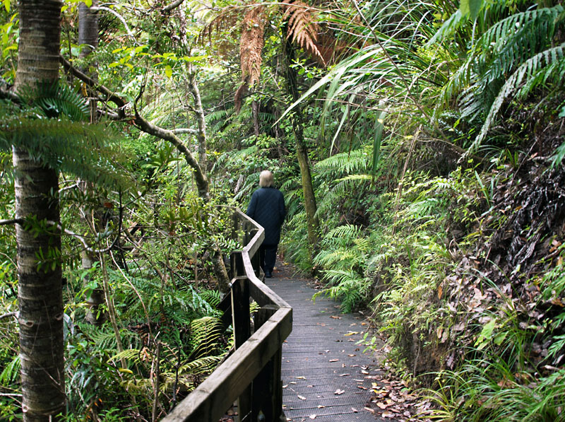 Track to the lookout