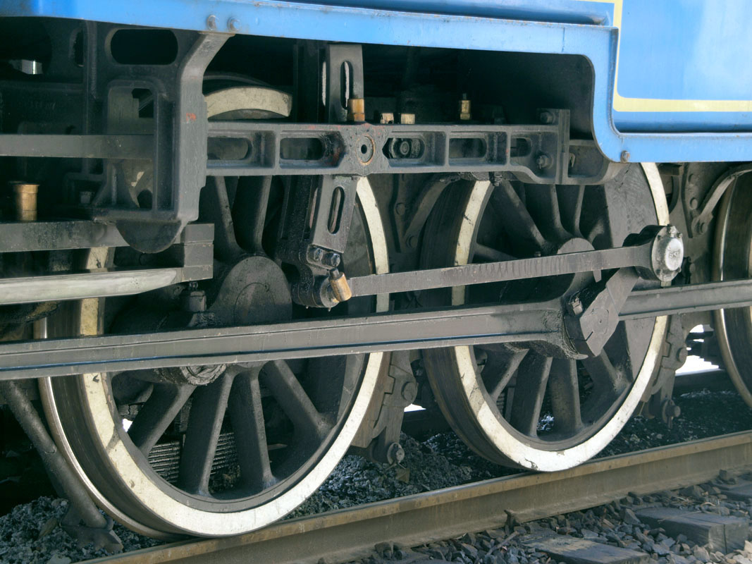 y1177133.jpg