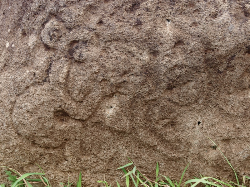 Petroglyphs