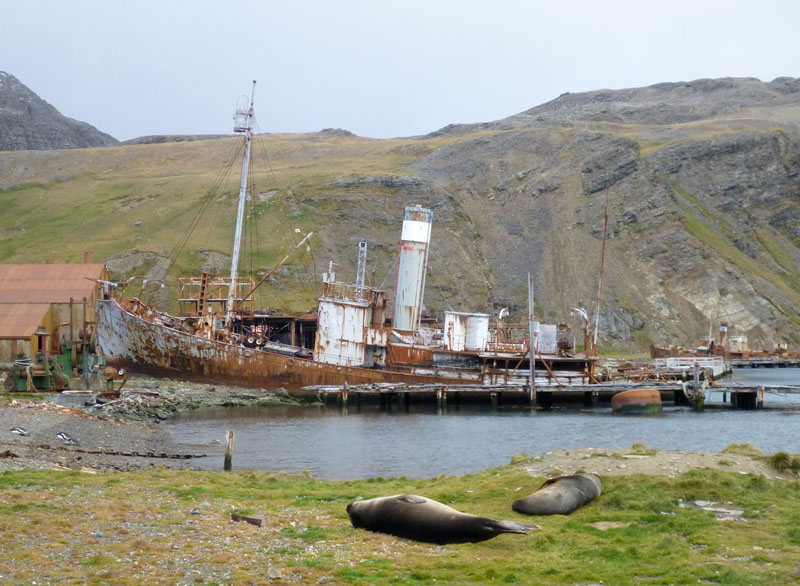 Grytviken harbourside
