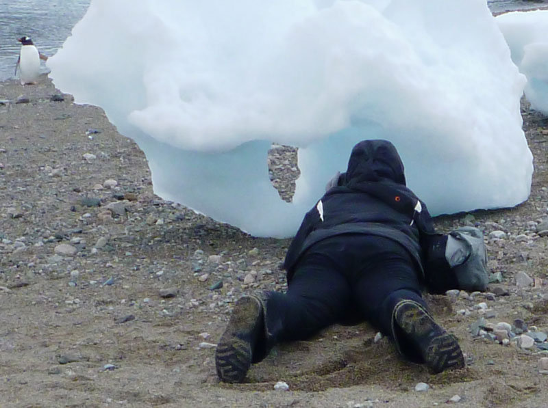 0731: Photographer imitating   a seal