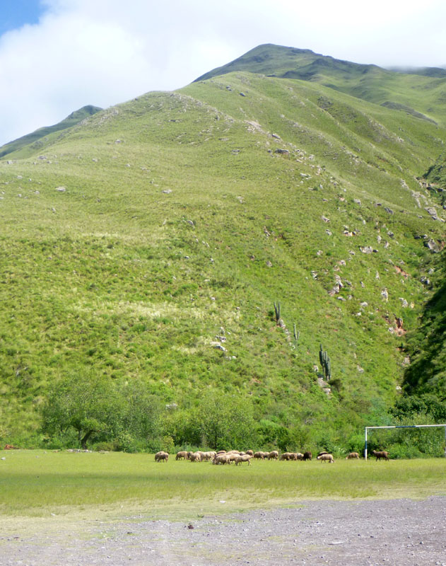 A stop on the road to Cachi  1