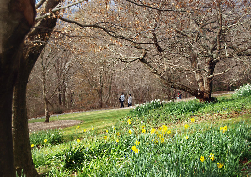 Signs of spring  1