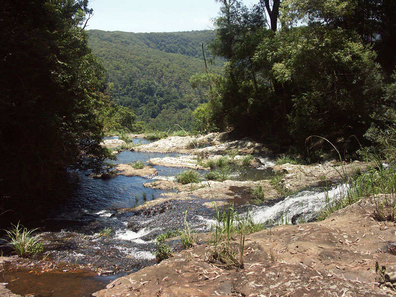 Above Purlingbrook Falls