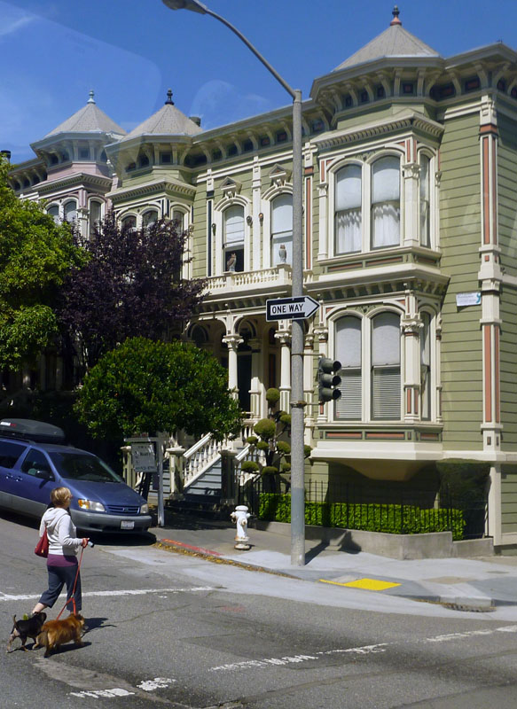 Dog-walking in Nob Hill