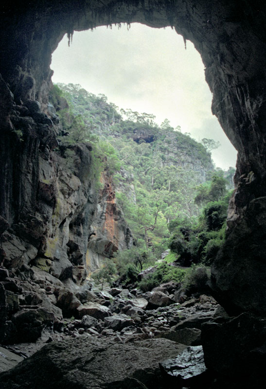 Devils Coach House, looking out