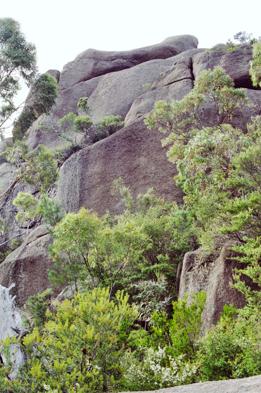 Rocks behind the lookout