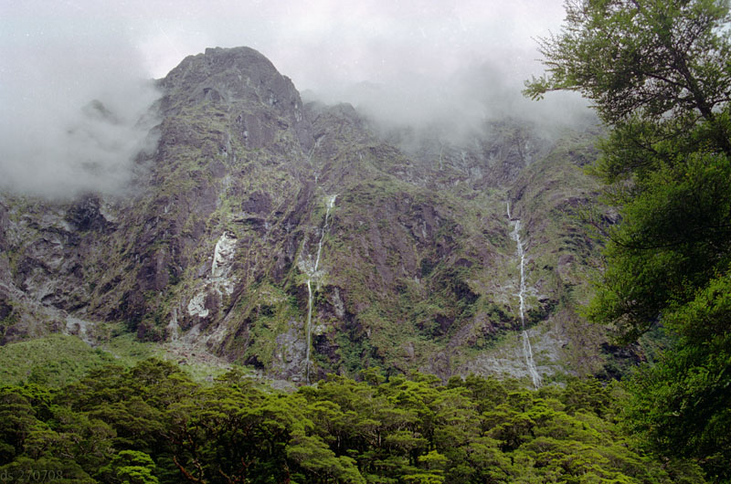 On the road to Milford Sound