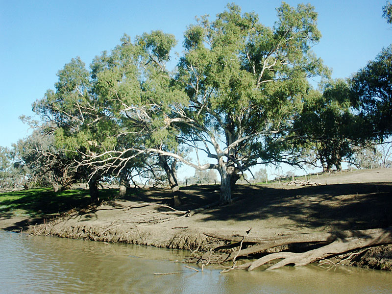 Darling River, Bourke