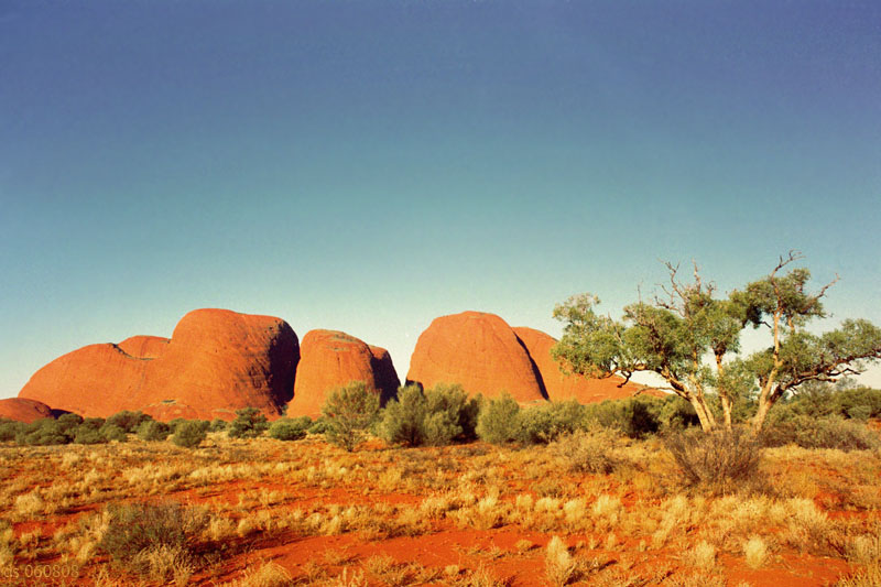 The Olgas