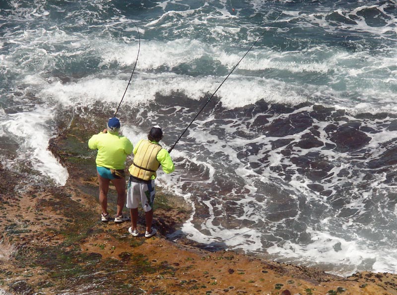 Rock fishing, Bondi