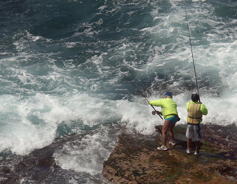 Rock fishing, Bondi