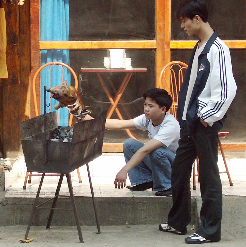 Pig roaster for tourists