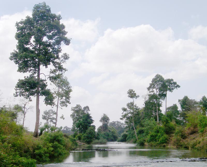 River scene, from an elephant - 2