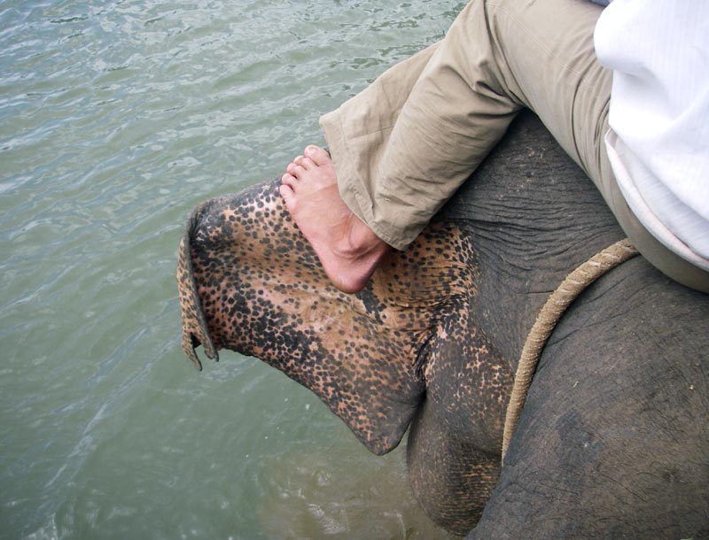How to steer an elephant