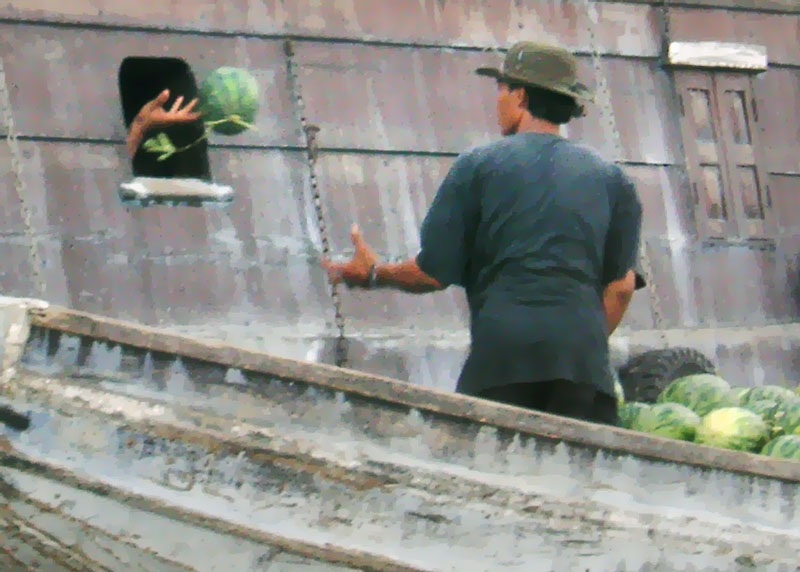 Melon delivery