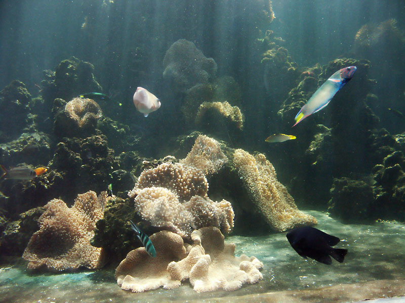 Deep tank  1