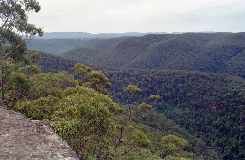 Grose Valley - upstream