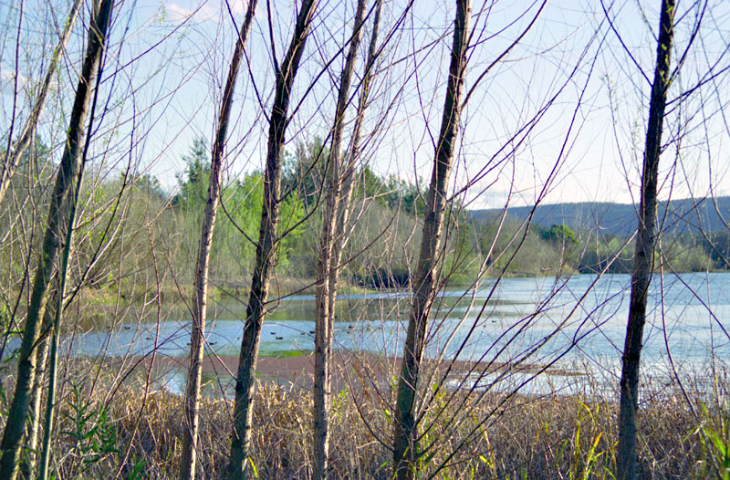 Upstream from the Yarramundi Bridge