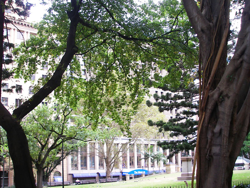 Across Wynyard Park