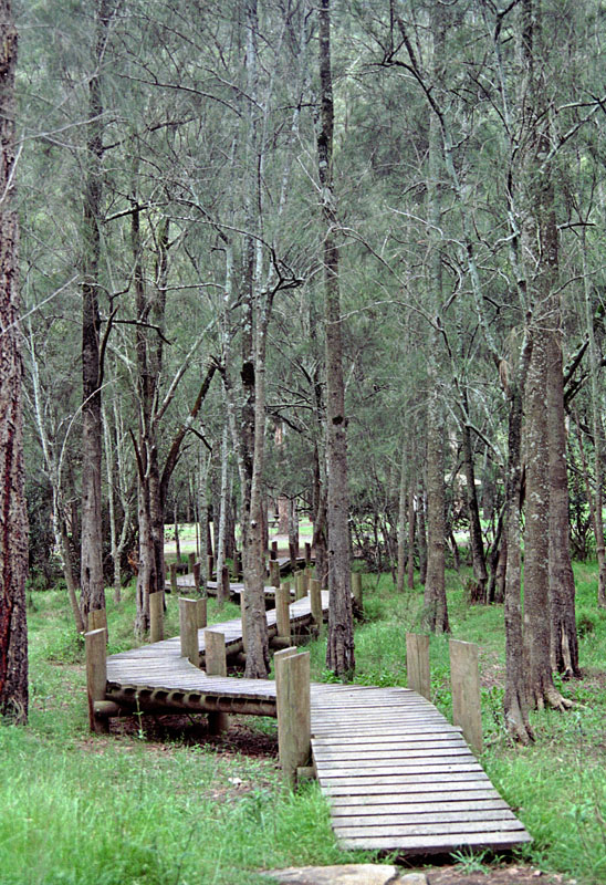 Boardwalk at Crosslands