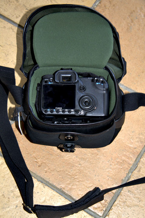hadley digital