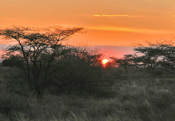 A firey Amboseli sunset.jpg