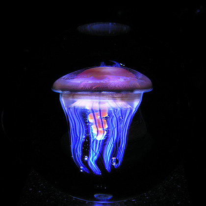 One of James amazing luminary jellyfish
