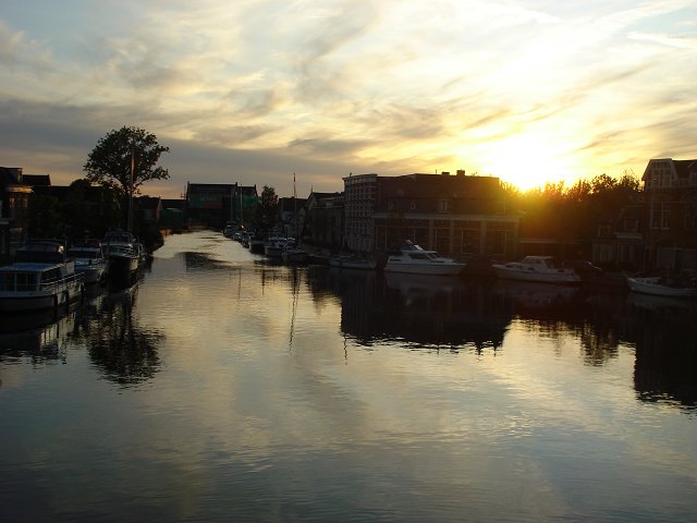 17DSC01498.jpg