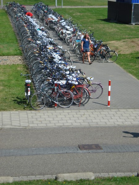 DSC03381.jpg