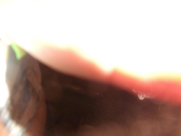 GEDC0202.JPG