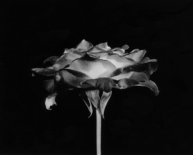 File1823.jpg