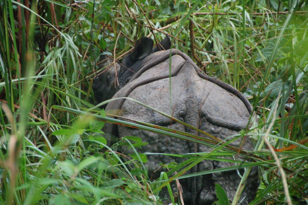 DSC_0238.JPG