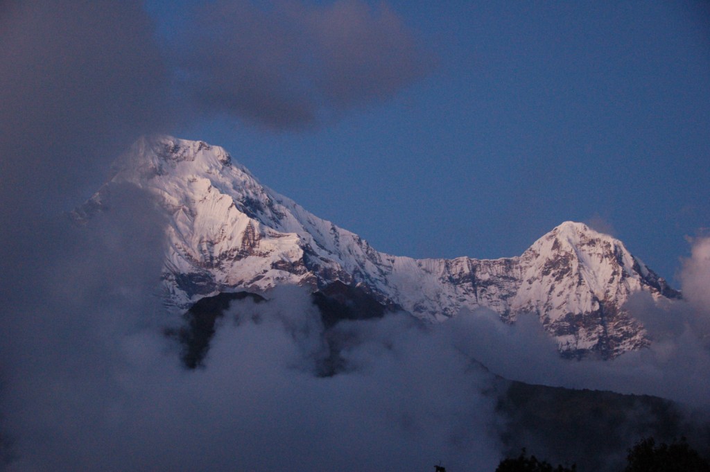 DSC_0403.JPG