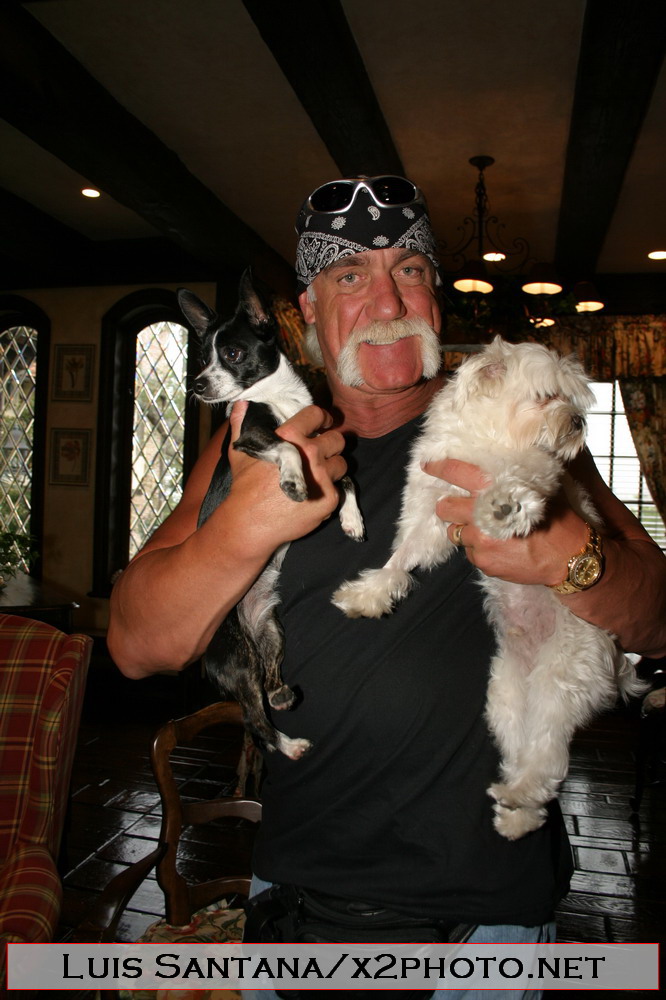 Hulk Hogans Home